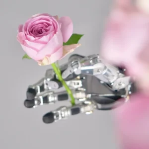 Können Roboter Deine Ehe kitten?